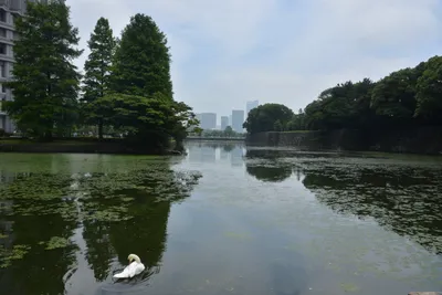 DSC_3337 (Large).JPG